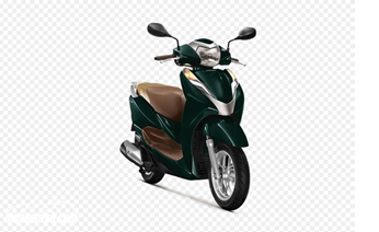 K12V00 2018 Xanh rêu G209