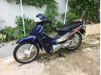 Anpha + 2004 Xanh tím PB171