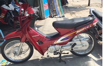 Anpha 2003 Đỏ đô R203