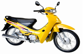 Anpha 2004 Vàng Y106