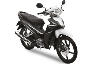 Năm 2017 NHB55P Trắng đen