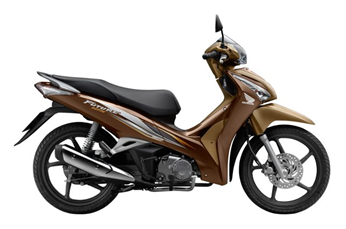 Năm 2015 KYZG00 YR303 Nâu