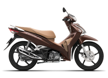 Năm 2018 K73V50 YR303 Nâu vàng