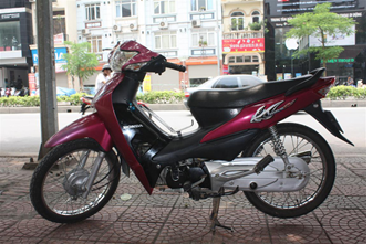 W Cá 2006 Hồng RP173
