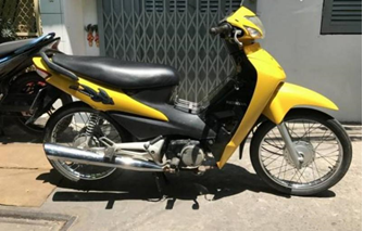 W Cá 2006 Vàng Y106