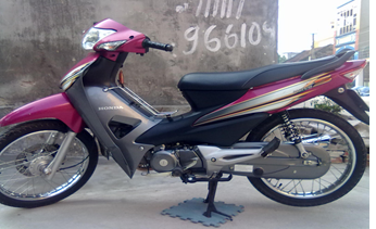 WS100 2008 Hồng RB173