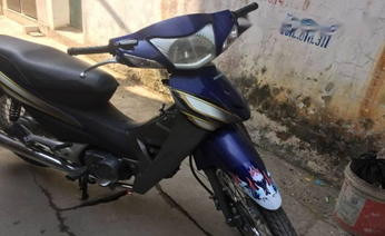 WS100 2008 Xanh PB373