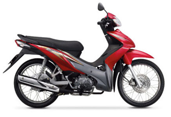 WS110 2009 Đỏ R313