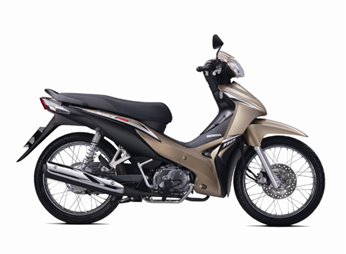 WS110 2013 Đồng Y208