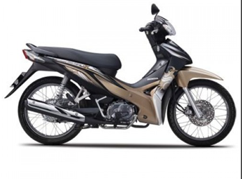 WS110 2014 Đồng Y208
