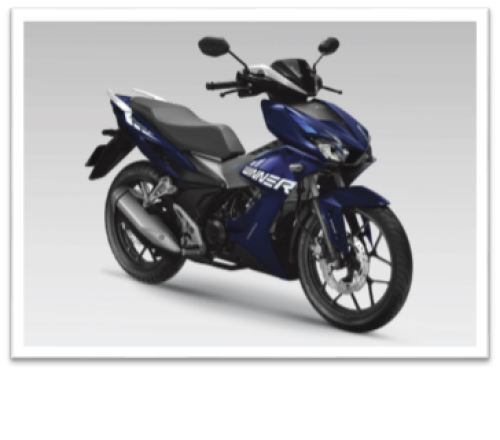 WINNER 2019 Xanh PB421