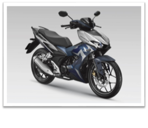 WINNER 2019 XanhB PB406