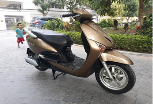 GGE 2010 Vàng đồng Y208