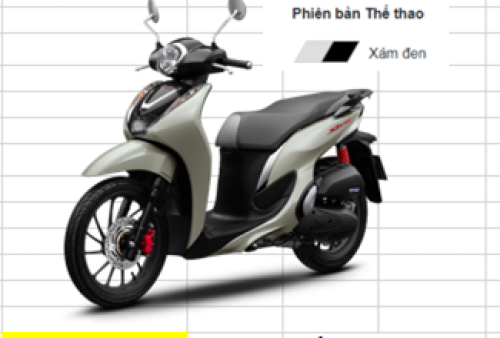 Shmode 2024 TT Xám xi măng NHC60