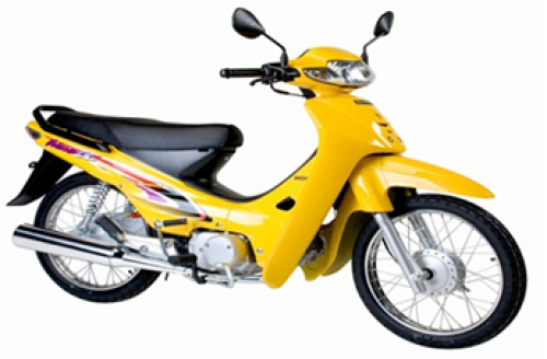 Anpha 2004 Vàng Y106