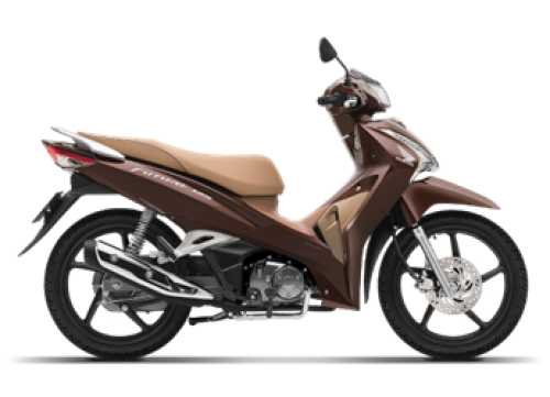 Năm 2018 K73V50 YR303 Nâu vàng