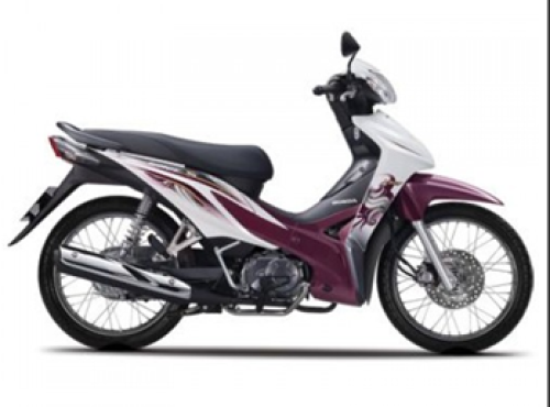 WS110 2014 Nâu R150